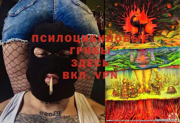 mix Бородино