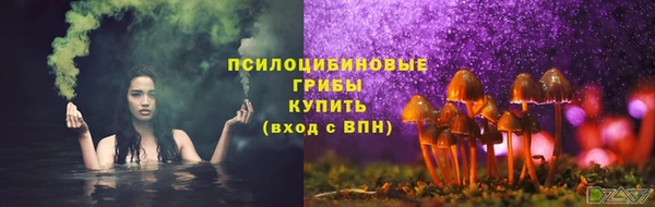 ECSTASY Бугульма