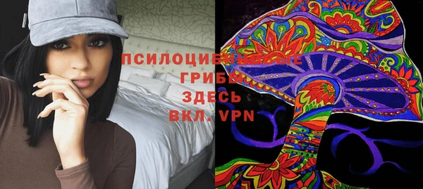 mix Бородино