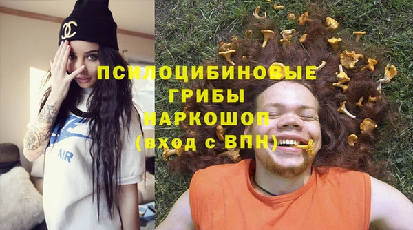 mix Бородино