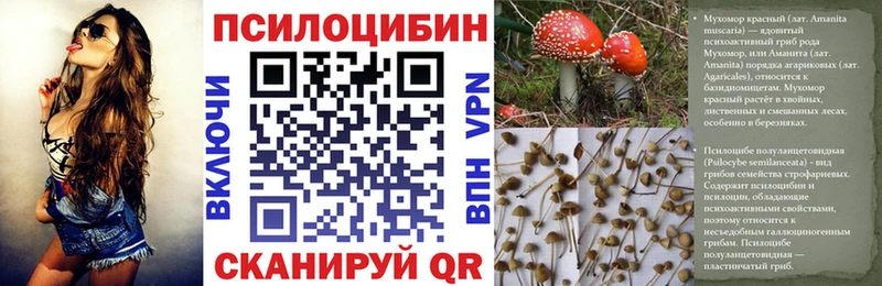 Псилоцибиновые грибы Psilocybe Гулькевичи